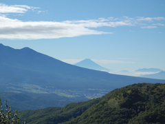 遥かに富士が