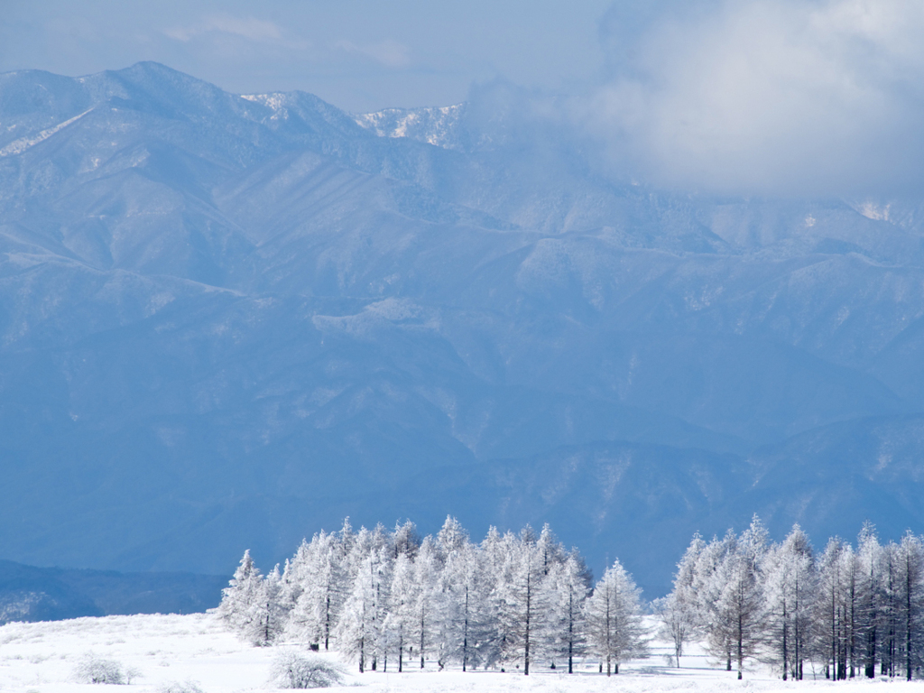 厳寒の朝