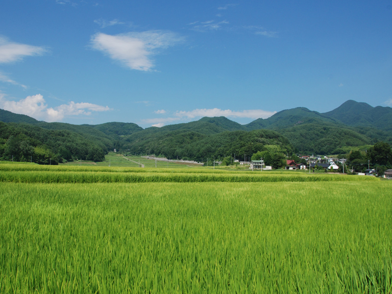 田園
