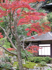 海蔵寺