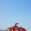 naoshima no kabocha