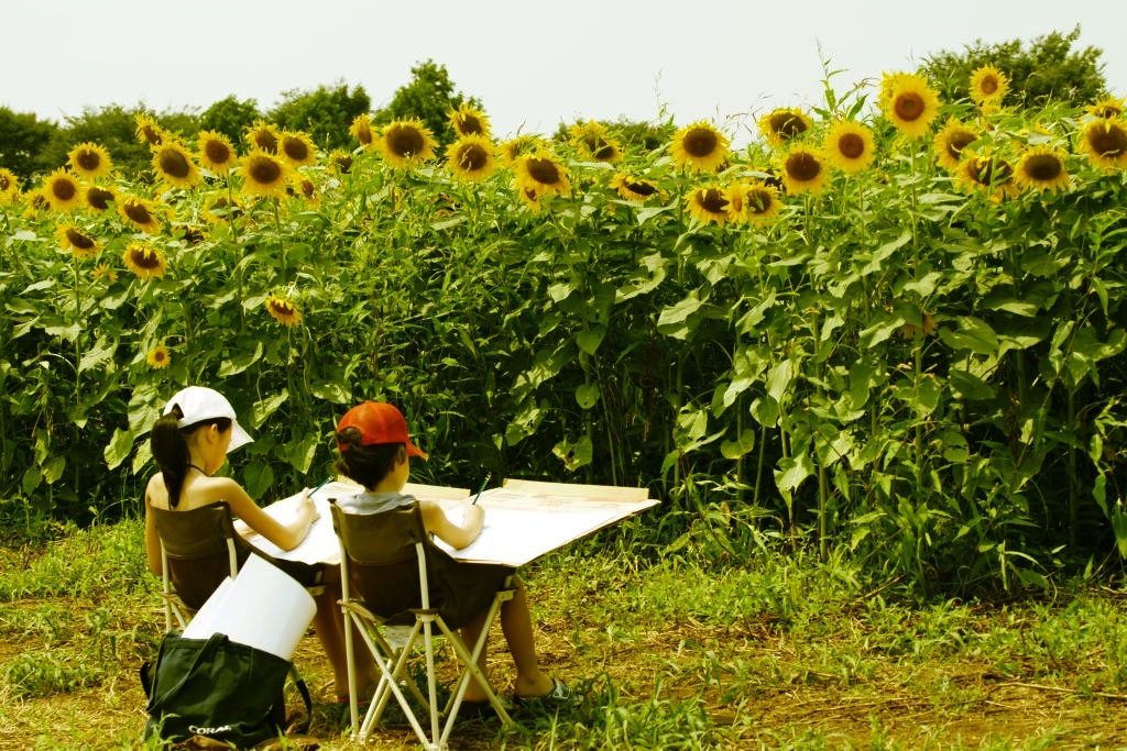 夏休みの宿題