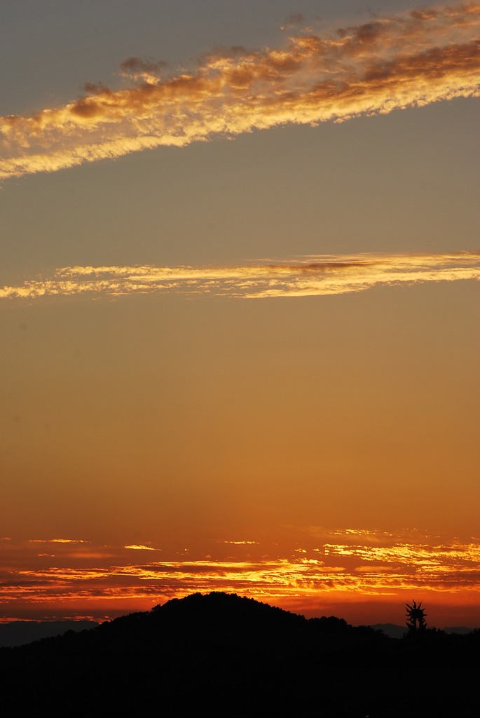 夕景