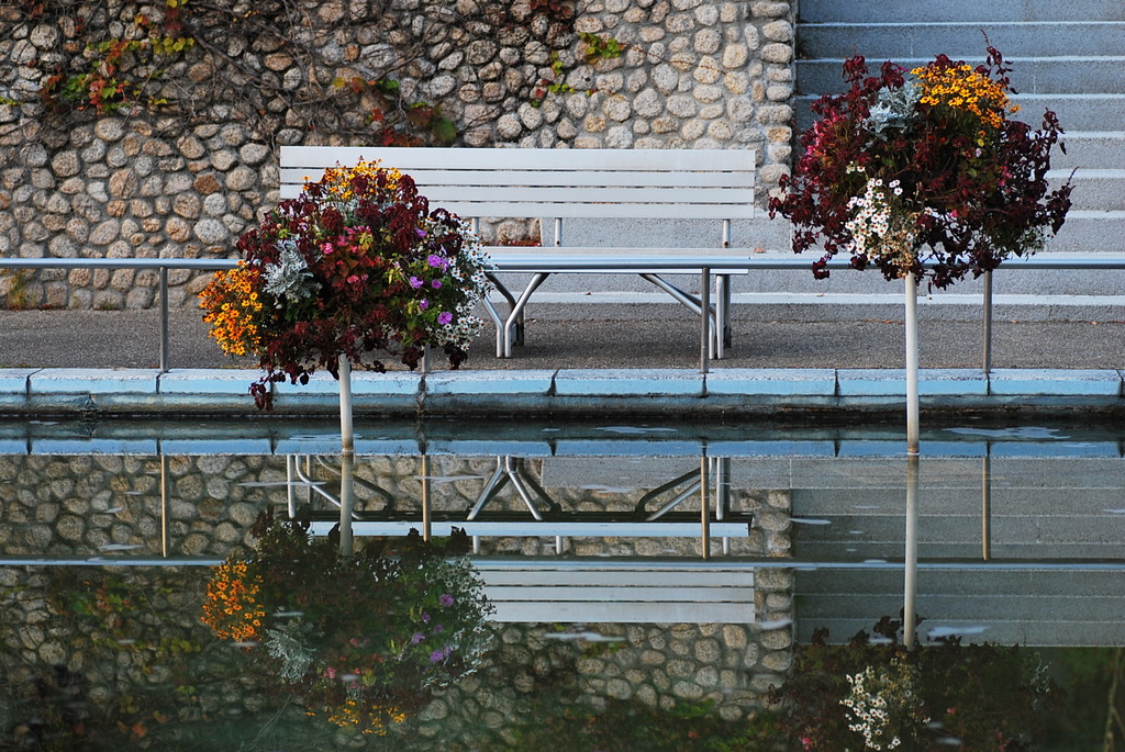 reflection
