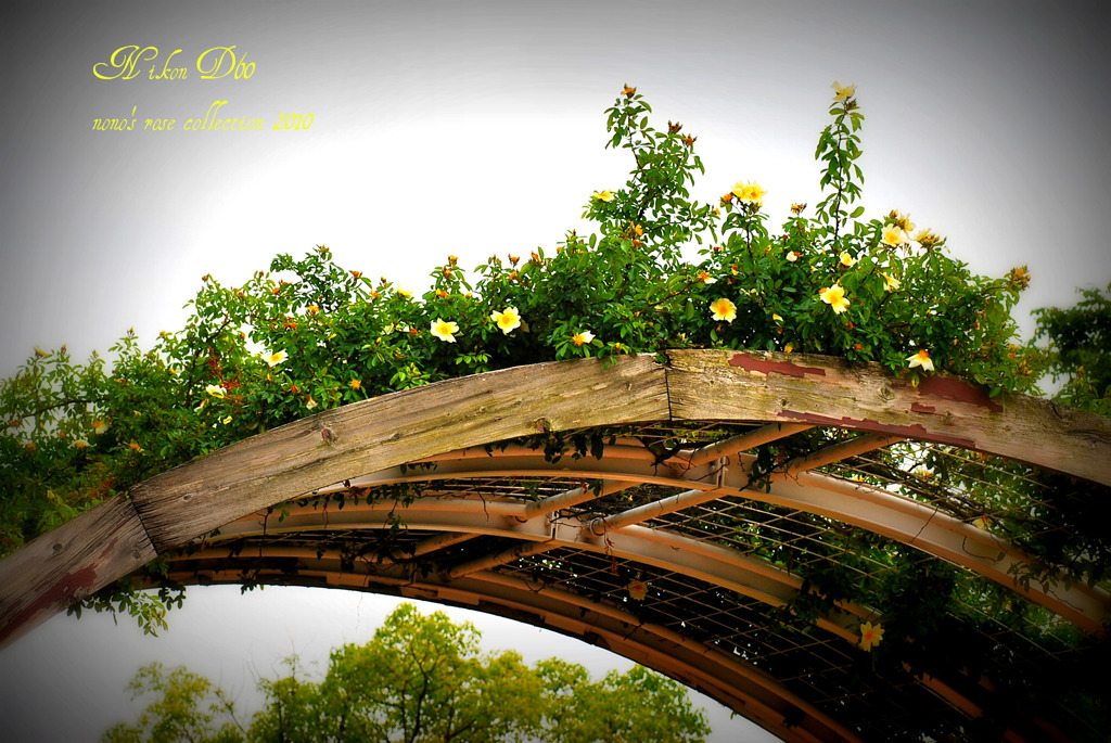 arch