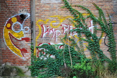 graffiti-covered wall　Ⅱ
