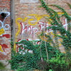 graffiti-covered wall　Ⅱ
