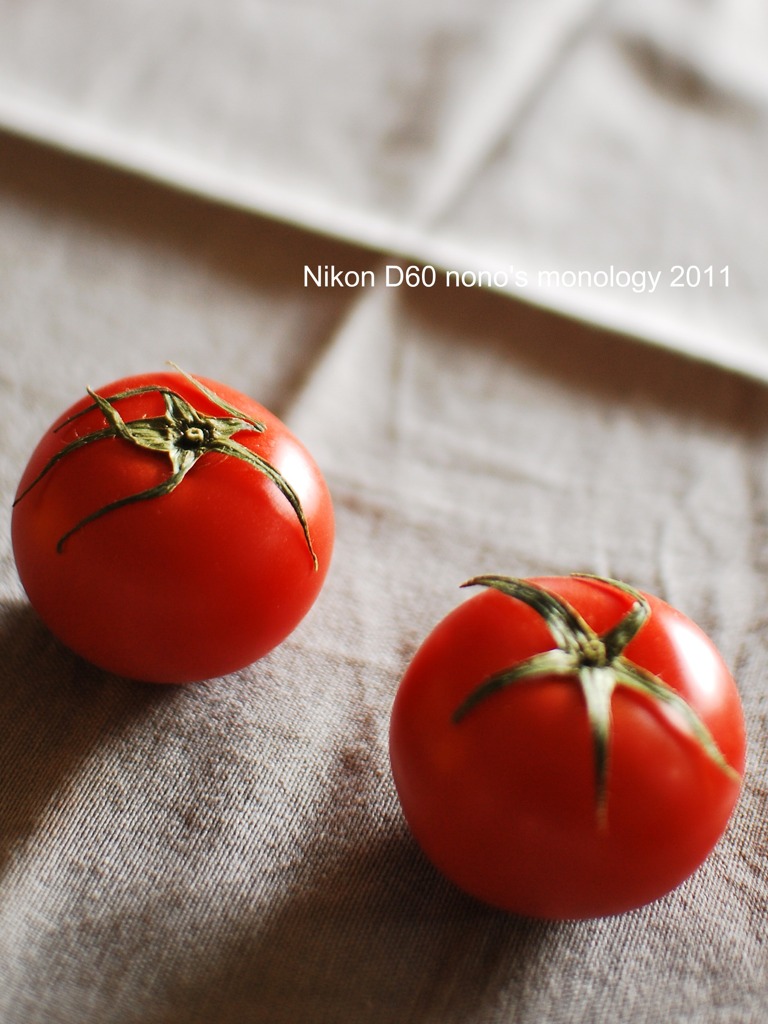 tomatoes