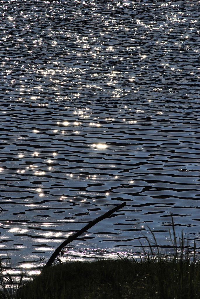 池の辺の煌き
