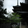 法隆寺　Ⅱ
