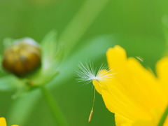 風のいたずら