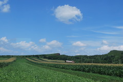 旅の空