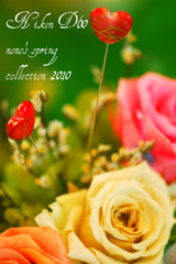spring collection
