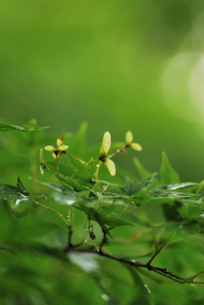 突然の雨に・・・