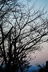 夕景
