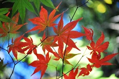 爽やか