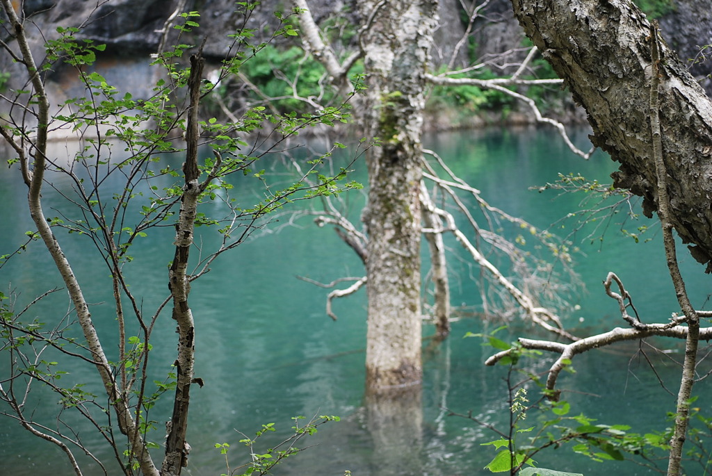 銀環湖