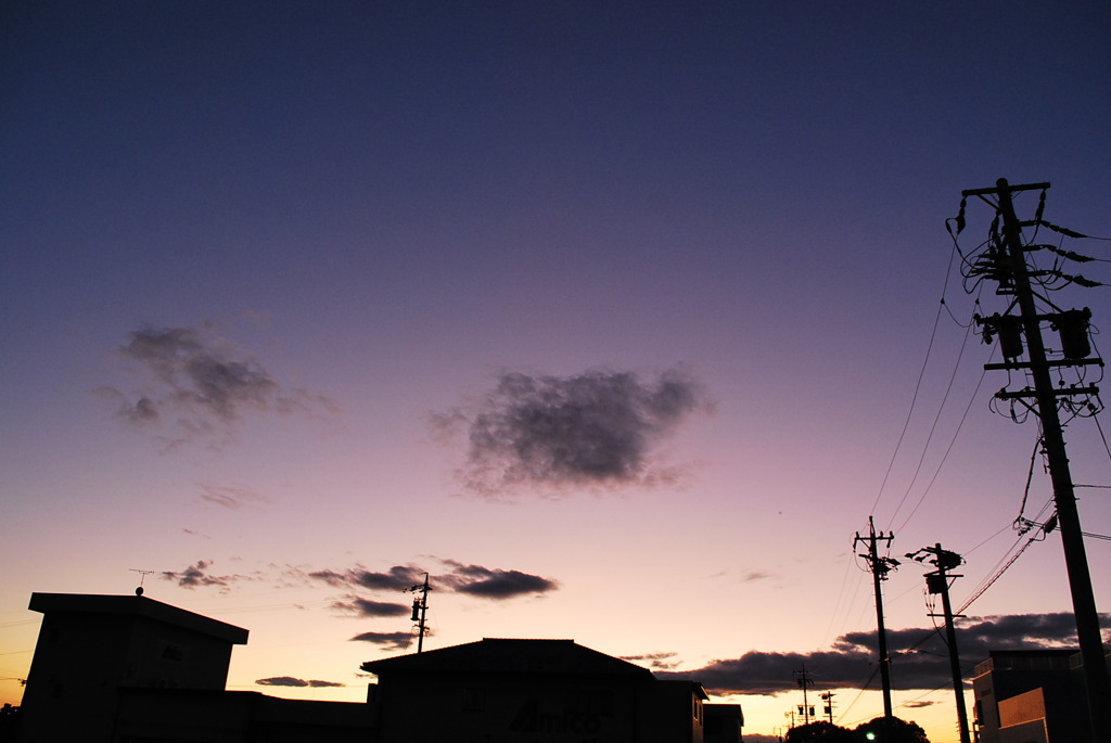 紫のグラデ
