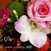 H.B. to me