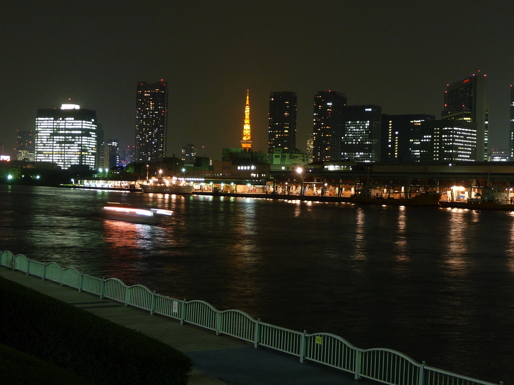 勝鬨橋付近より東京タワーと築地市場を望む(20081031-0012)