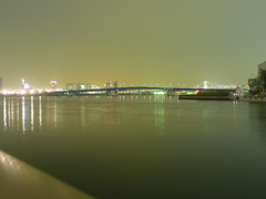 春海鉄道橋付近(20081031-0022)