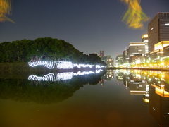 日比谷濠(20081223-0025)