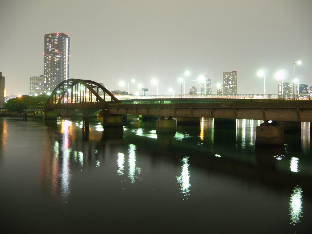 春海鉄道橋(20081031-0021)