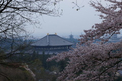 DSC01017