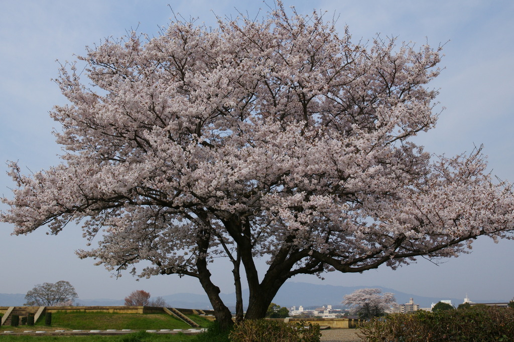 DSC01046