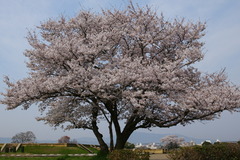 DSC01046