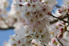 DSC01070