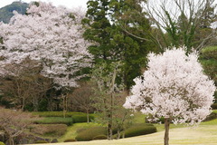 DSC00985