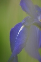 DSC00962
