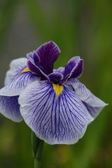 馬見丘陵公園にて４
