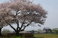 DSC01053
