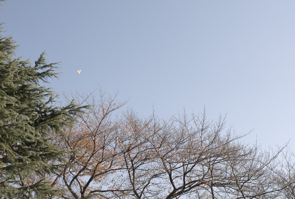 風