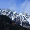 冠雪