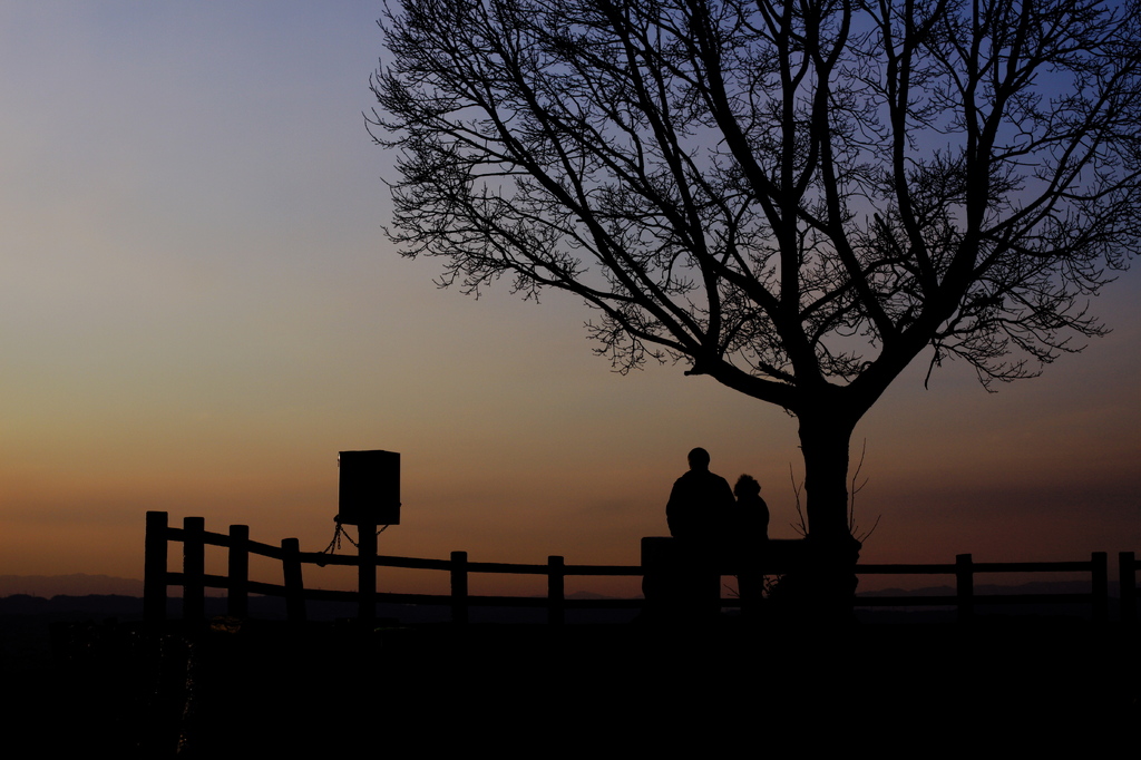 夕日を望む老夫婦