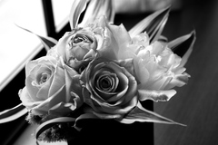 白黒薔薇
