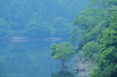 室生湖の朝