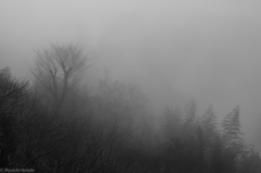 雨煙