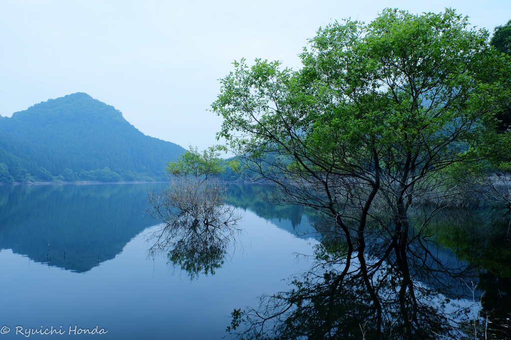 blue moment #11