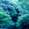 blue moment #8
