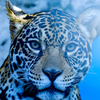 blue moment #9