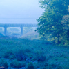 blue moment #7