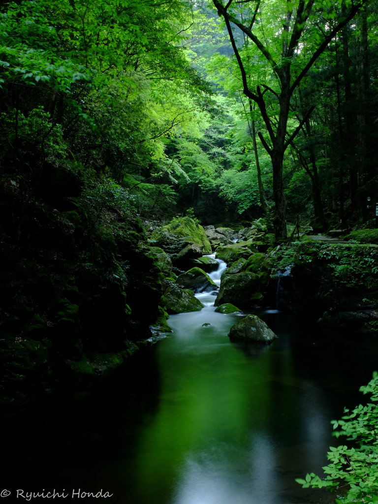 清流　#6