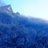 蒼の渓谷　#8