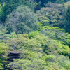 新緑2016 談山神社