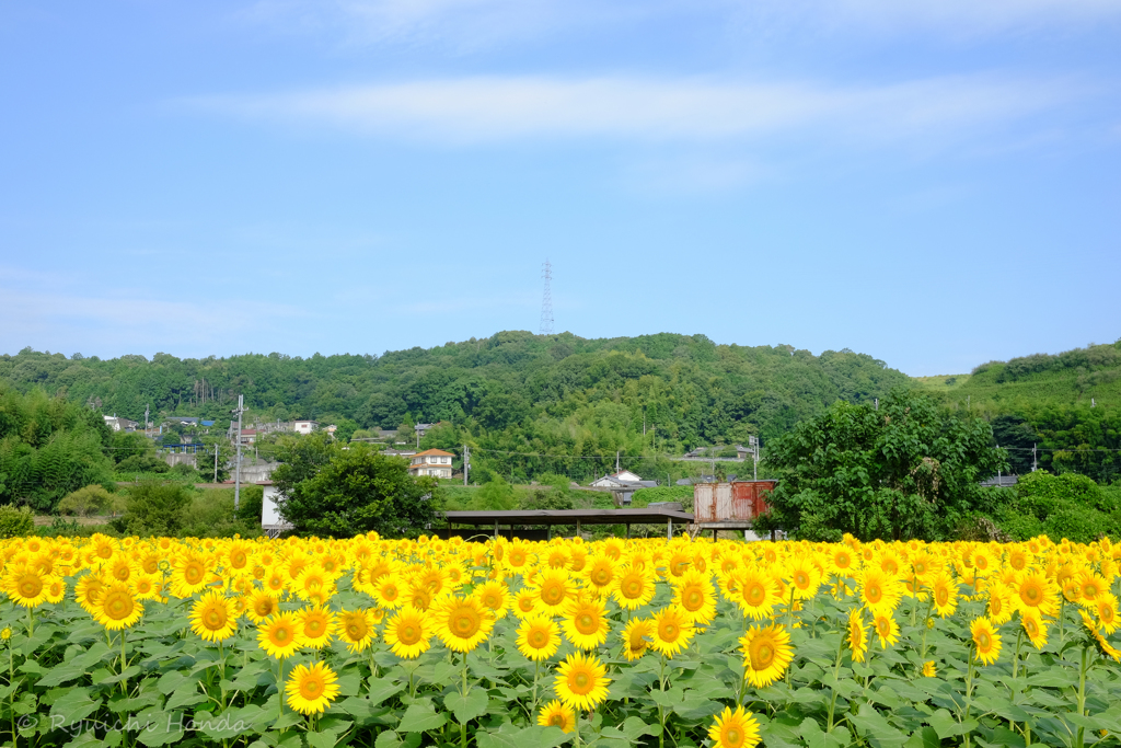 夏本番！ #4