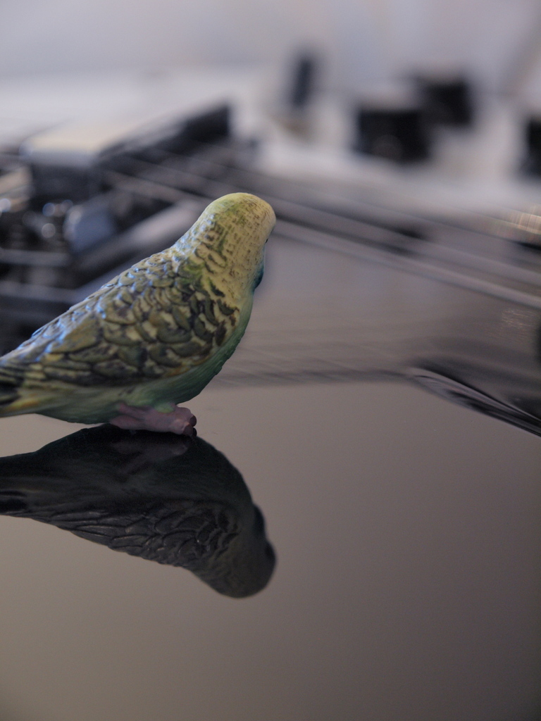 Reflection